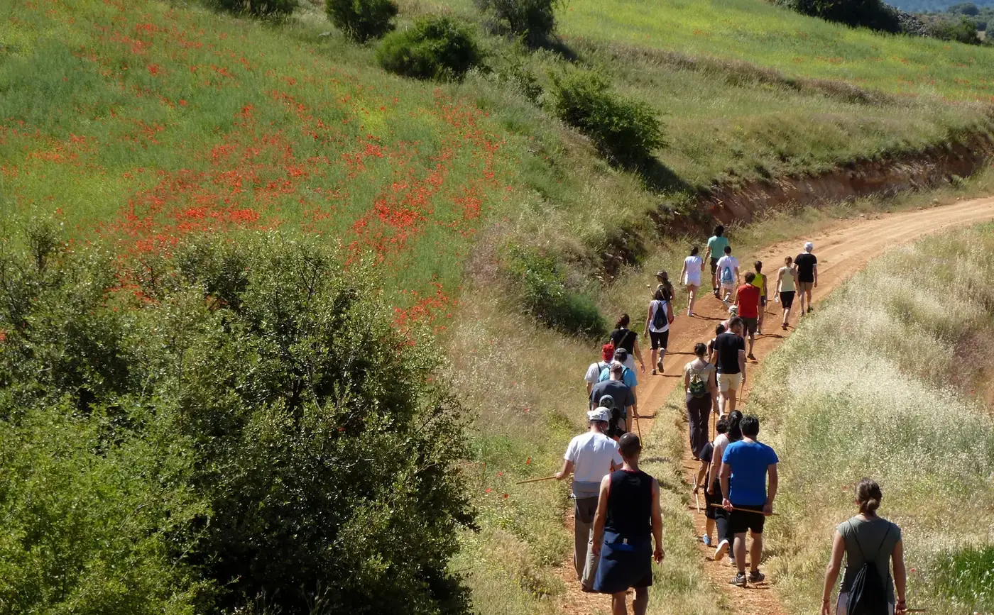 La subida a la ladera, en silencio.