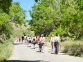 MEDITACION CAMINADA (2)