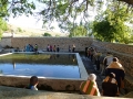 MEDITACION EN LA NATURALEZA (4)